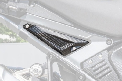 DBK hintere Carbon Seitenabdeckungen BMW R 1300 GS Adventure