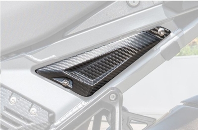 DBK hintere Carbon Seitenabdeckungen BMW R 1300 GS Adventure