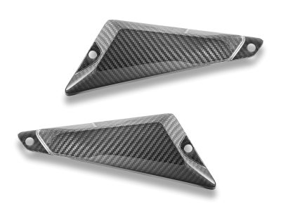 DBK hintere Carbon Seitenabdeckungen BMW R 1300 GS Adventure