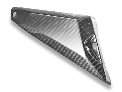 DBK hintere Carbon Seitenabdeckungen BMW R 1300 GS Adventure