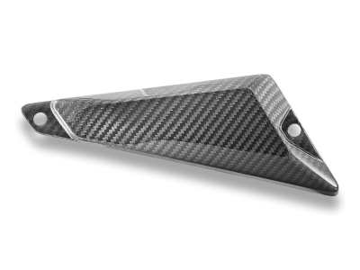 DBK hintere Carbon Seitenabdeckungen BMW R 1300 GS Adventure