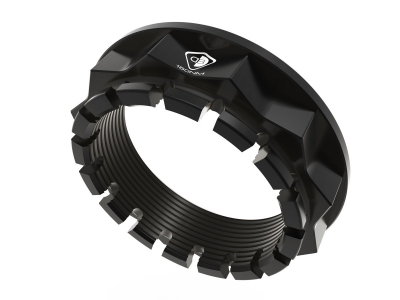 DBK Kettenrad- / Radmutter Triumph Speed Triple 1200 RR