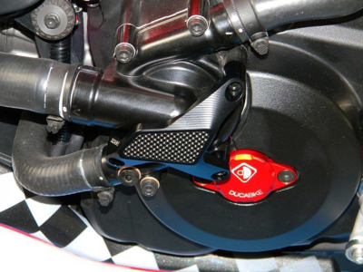 DBK Wasserpumpenschutz Ducati Multistrada 950