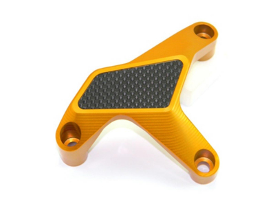 DBK Wasserpumpenschutz Ducati Multistrada V2