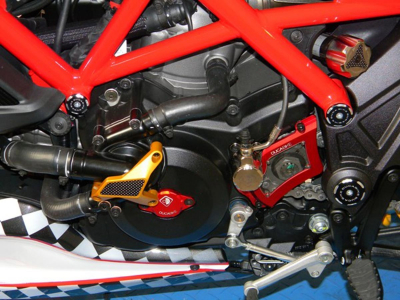 DBK Wasserpumpenschutz Ducati Multistrada V2