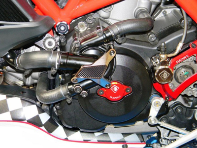 DBK Wasserpumpenschutz Ducati Multistrada V2