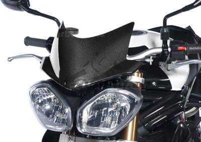 Carbon Ilmberger Vindruta Triumph Speed Triple 1050