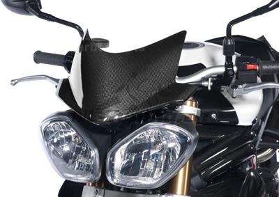 Koolstof Ilmberger Windscherm Triumph Speed Triple 1050