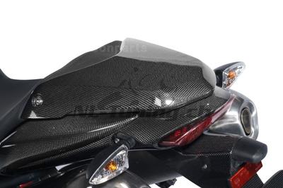 Carbon Ilmberger Soziussitzabdeckung Triumph Speed Triple 1050