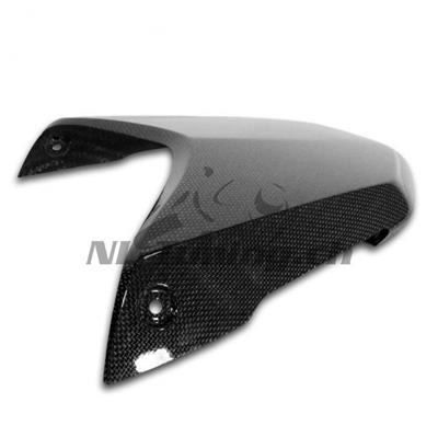 Carbon Ilmberger Pillion Stesverdrag Triumph Speed Triple 1050