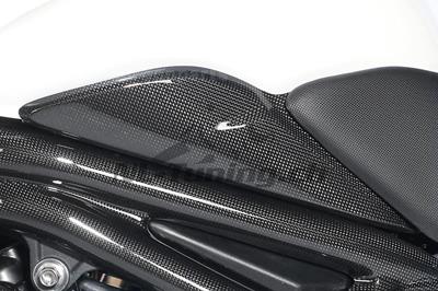 Carbon Ilmberger side cover set Triumph Speed Triple 1050