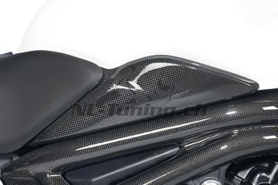 Carbon Ilmberger Seitendeckel Set Triumph Speed Triple 1050