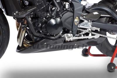 Dflecteur de proue en carbone Ilmberger Triumph Street Triple 675