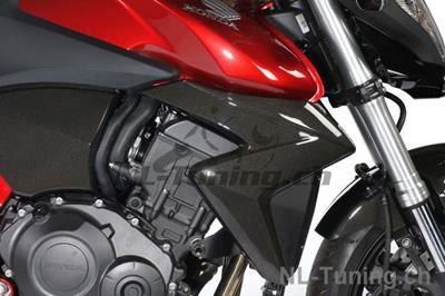 Carbon Ilmberger Khlerverkleidung Honda CB 1000R