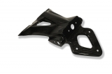 Support de plaque dimmatriculation carbone Ilmberger BMW S 1000 RR