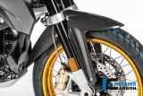 Carbon Ilmberger Vorderradabdeckung BMW R 1250 GS