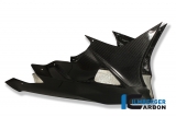 Carbon Ilmberger partie infrieure de carnage en une pice, y compris kit de fixation BMW S 1000 RR