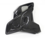 Carbon Ilmberger Windkanal inkl. Flap Set BMW R 1250 GS