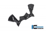Carbon Ilmberger Vindavvisare p cockpit BMW R 1250 GS