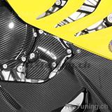 Carbon Ilmberger ignition rotor cover BMW S 1000 RR