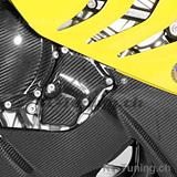 Carbon Ilmberger Couverture du rotor dallumage BMW S 1000 RR