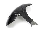 Carbon Ilmberger Kotflgel hinten BMW R NineT Urban G/S