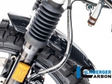 Parafango anteriore in carbonio Ilmberger BMW R NineT Urban G/S