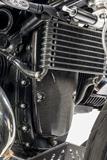 Coperchio alternatore in carbonio BMW R NineT Urban G/S