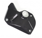Carbon Ilmberger Abdeckung unterm Rahmen Set Ducati Monster 1200