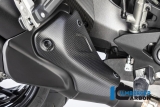 Carbon Ilmberger exhaust heat shield Ducati Monster 1200