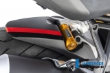 Cubre rueda trasero carbono Ilmberger largo Ducati Monster 1200 S