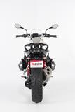 Scarico BOS Desert Fox BMW R 1200 R