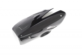 Carbon Ilmberger Motorspoiler Ducati Panigale V4