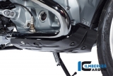 Carbon Ilmberger engine guard below BMW R 1250 GS Adventure