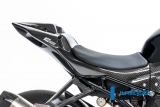 Carnage arrire en carbone Ilmberger Racing BMW S 1000 RR