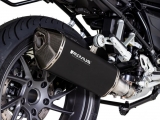 Uitlaat Remus Black Hawk BMW R 1250 RS