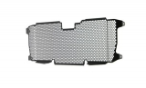 Performance radiator grille BMW R 1250 R