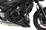 Puig Bugspoiler Kawasaki Z650 / S
