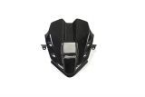 Carbon Ilmberger instrument cover Ducati Panigale V4 R