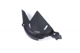 Cubrepiones de carbono Ilmberger Ducati Panigale V4 R