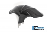 Carbon Ilmberger achterspatbord BMW R 1250 R