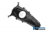 Carbon Ilmberger Topptankskydd BMW R 1250 R