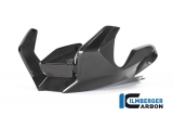 Carbon Ilmberger engine spoiler BMW R 1250 R