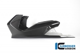 Carbon Ilmberger engine spoiler BMW R 1250 R