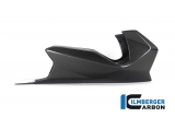 Carbon Ilmberger engine spoiler BMW R 1250 R