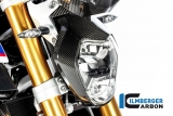 Kolfiber Ilmberger lampkpa BMW R 1250 R