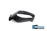 Carbon Ilmberger lamp cover BMW R 1250 R