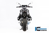 Carbon Ilmberger cardan housing cover BMW R 1250 R