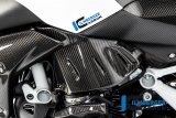 Carbon Ilmberger side cover under tank set BMW R 1250 R