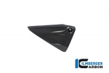 Carbon Ilmberger Cadre Triangle Cover Set BMW R 1250 R